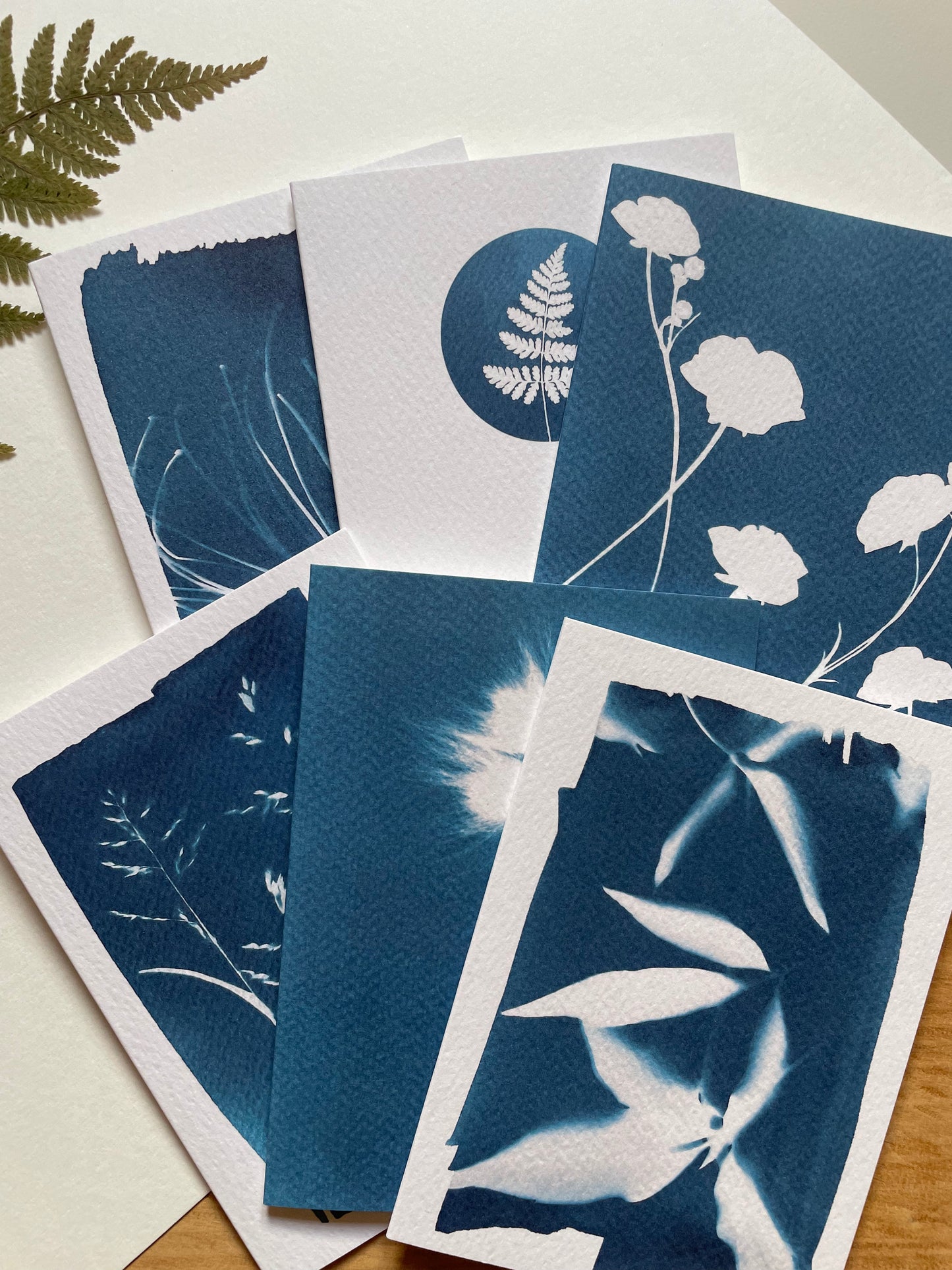 Pack of six cyanotype cards