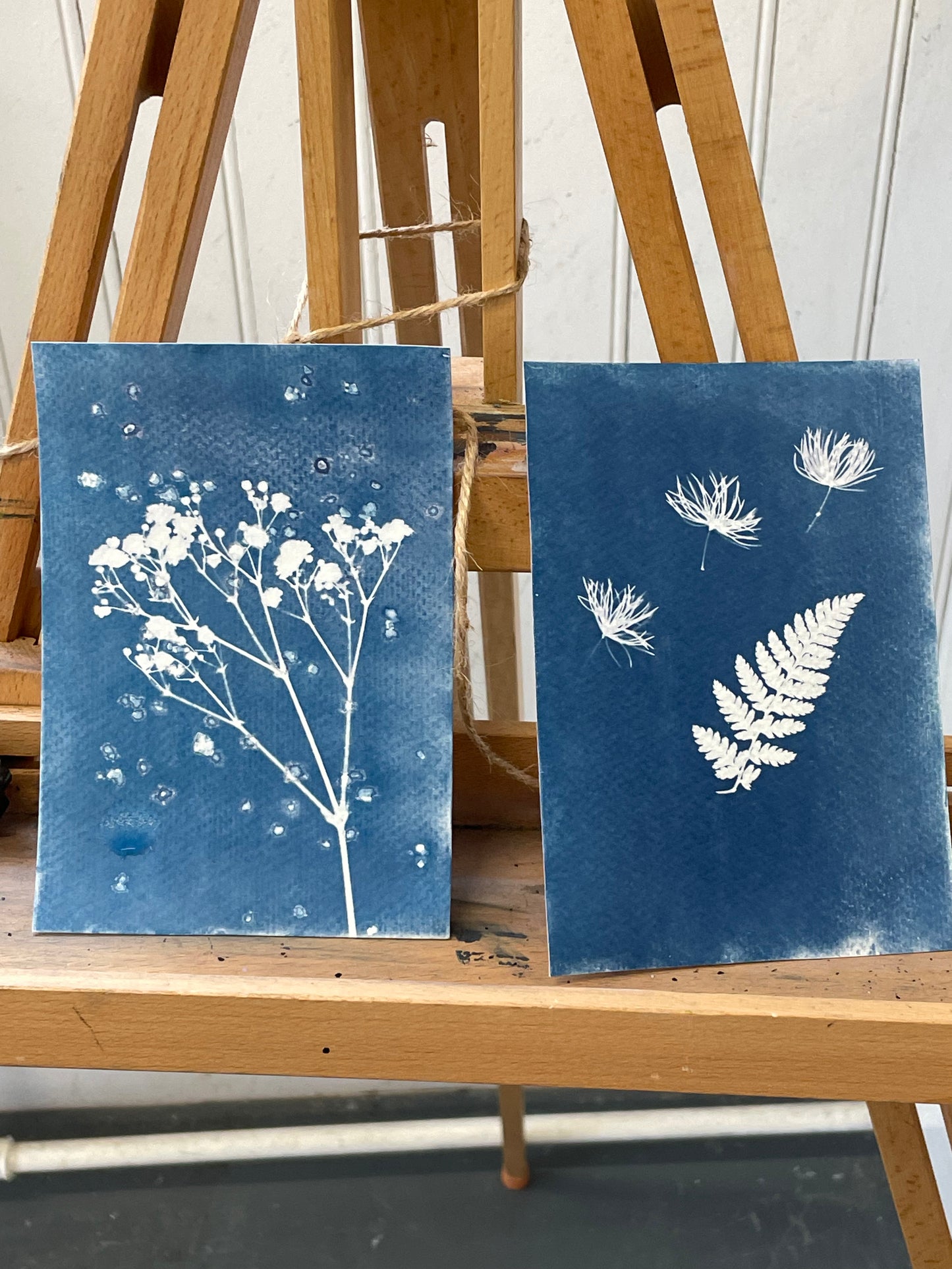 Botanical Printing Workshop
