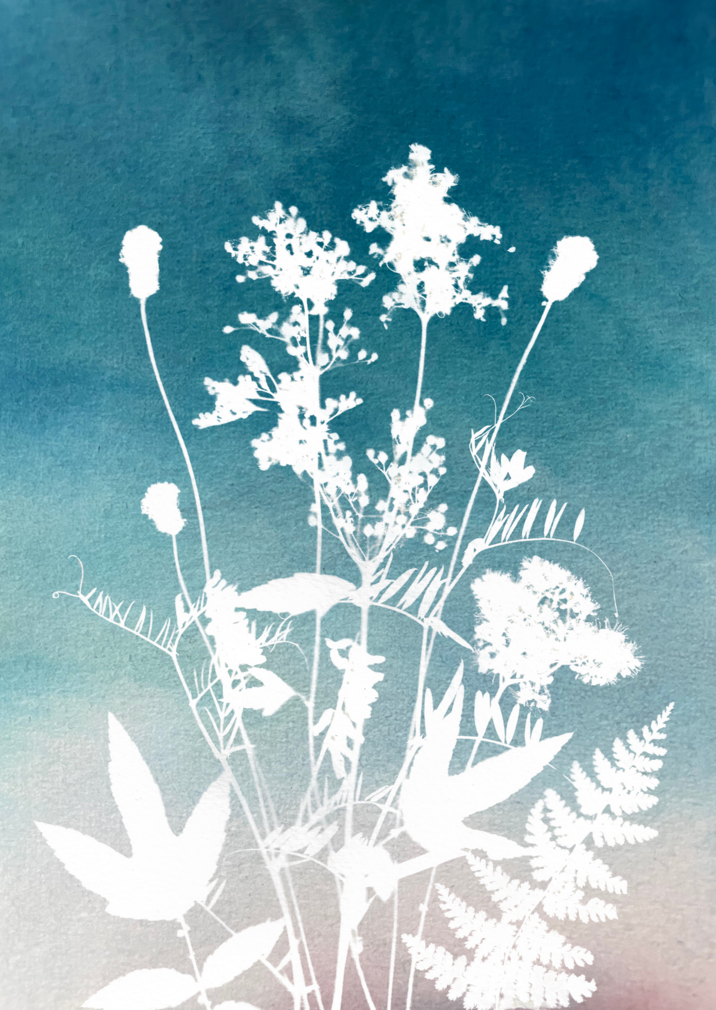 Lusan-Leighis - Healing Plants - Coral Fade