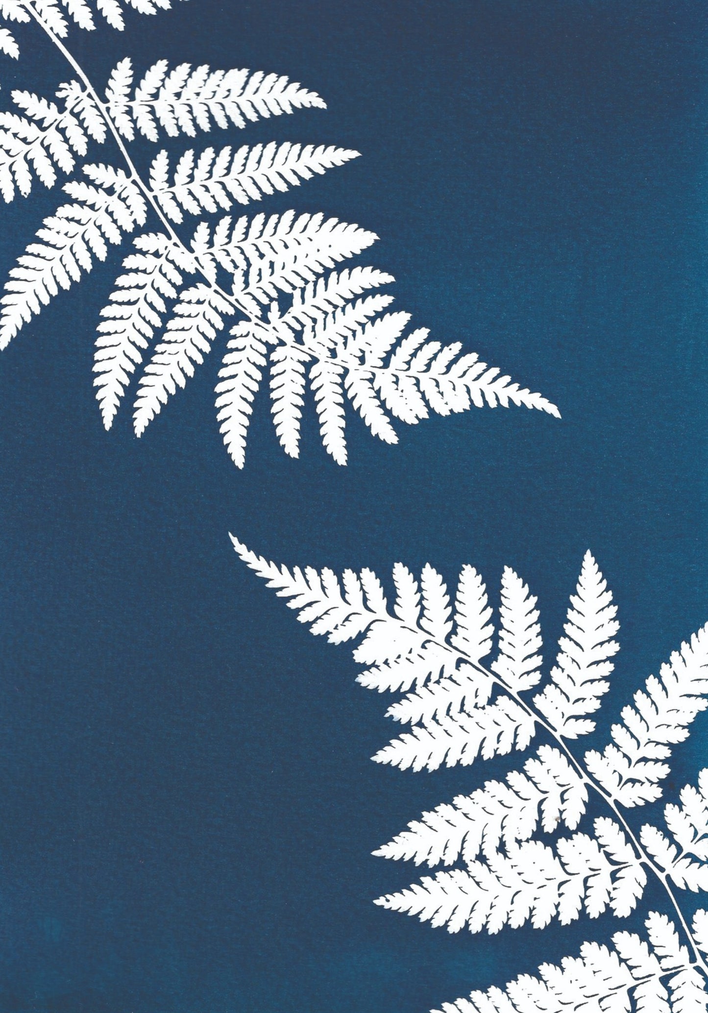 Double Fern