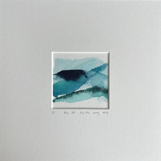 Air ìte - On the wing