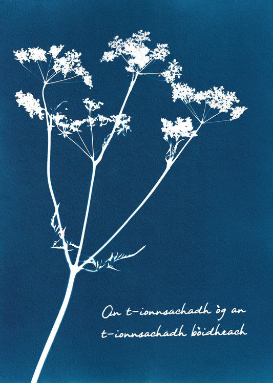 An t-ionnsachadh òg