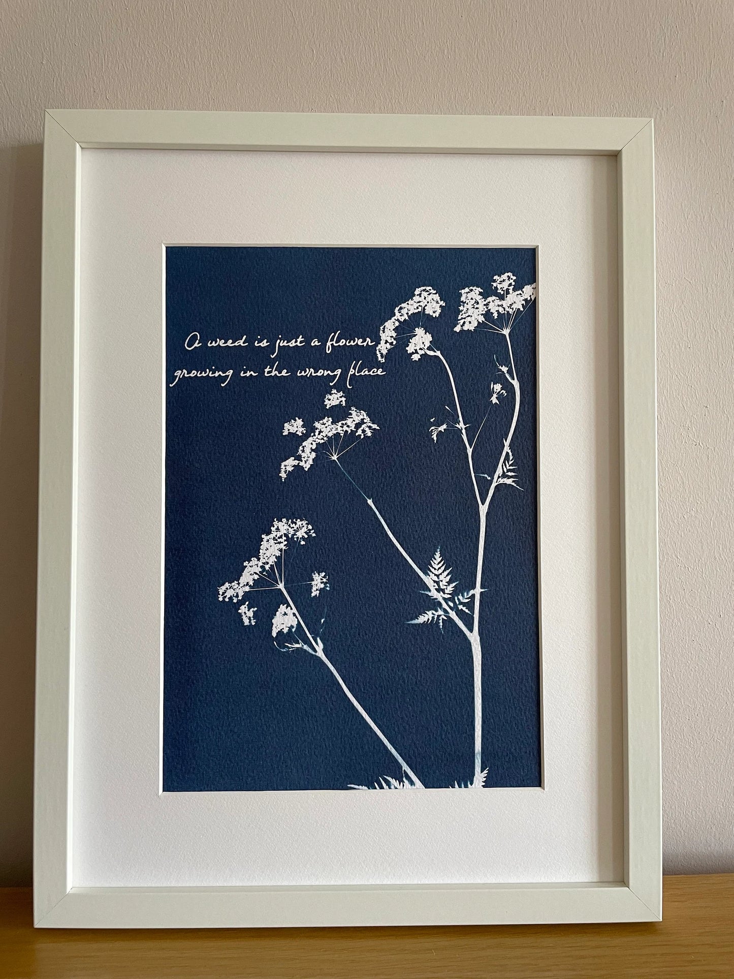 A weed is just a flower growing in the wrong place