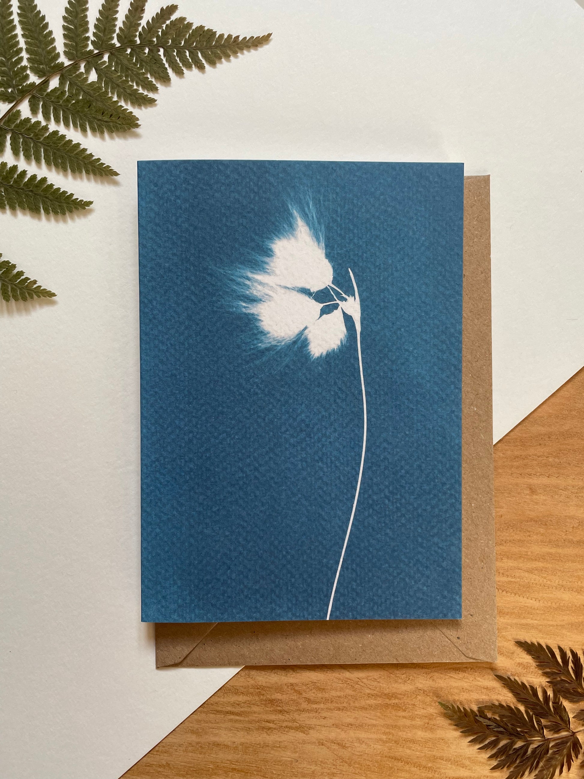Bog cotton greeting card