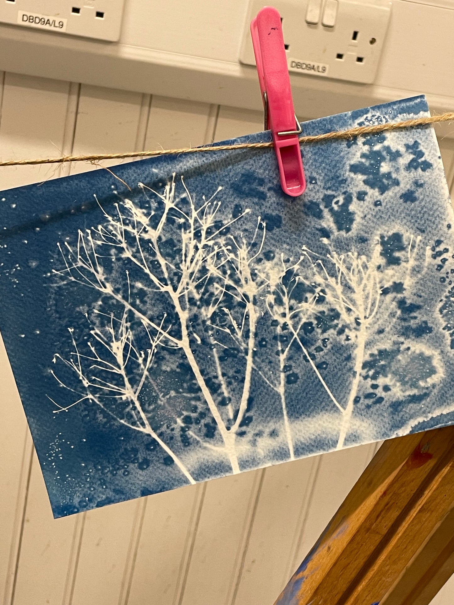 Gaelic Cyanotype Workshop - Ardgay