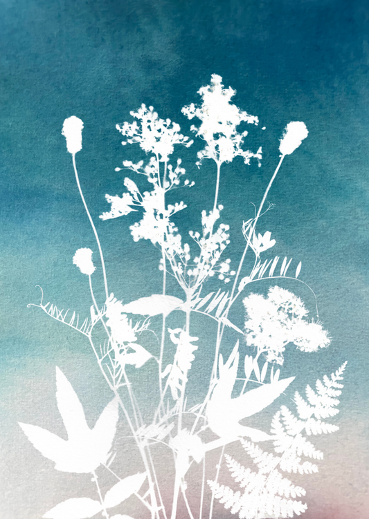 Lusan-Leighis - Healing Plants - Coral Fade