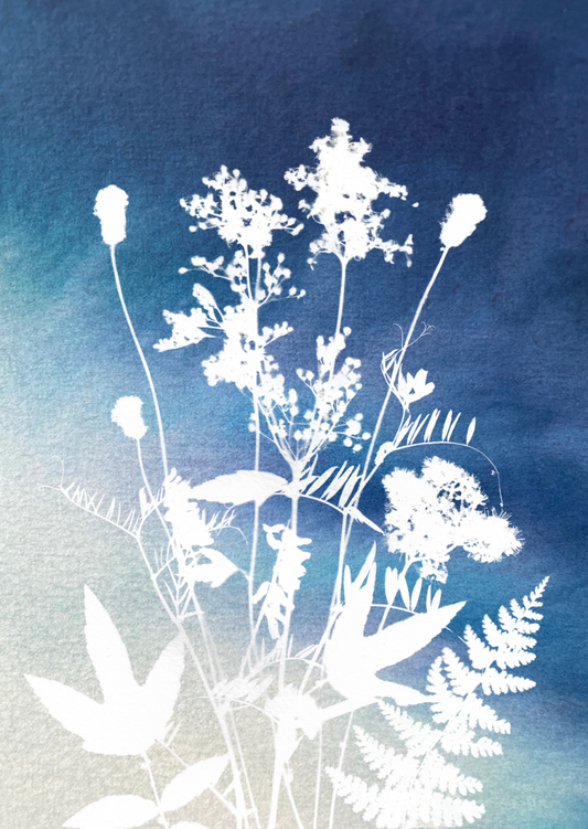 Lusan-Leighis - Healing Plants - Indigo Fade
