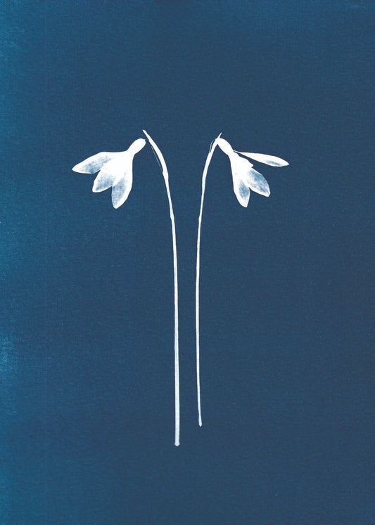 2 Snowdrops